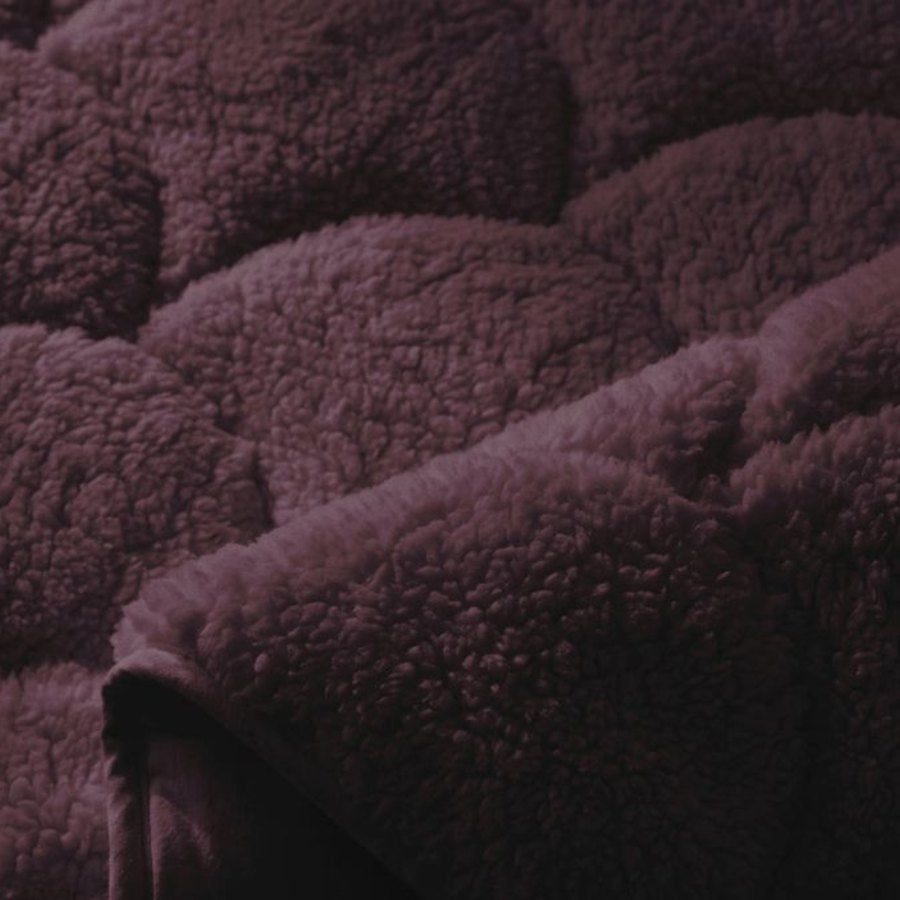 Close-up van Teddy