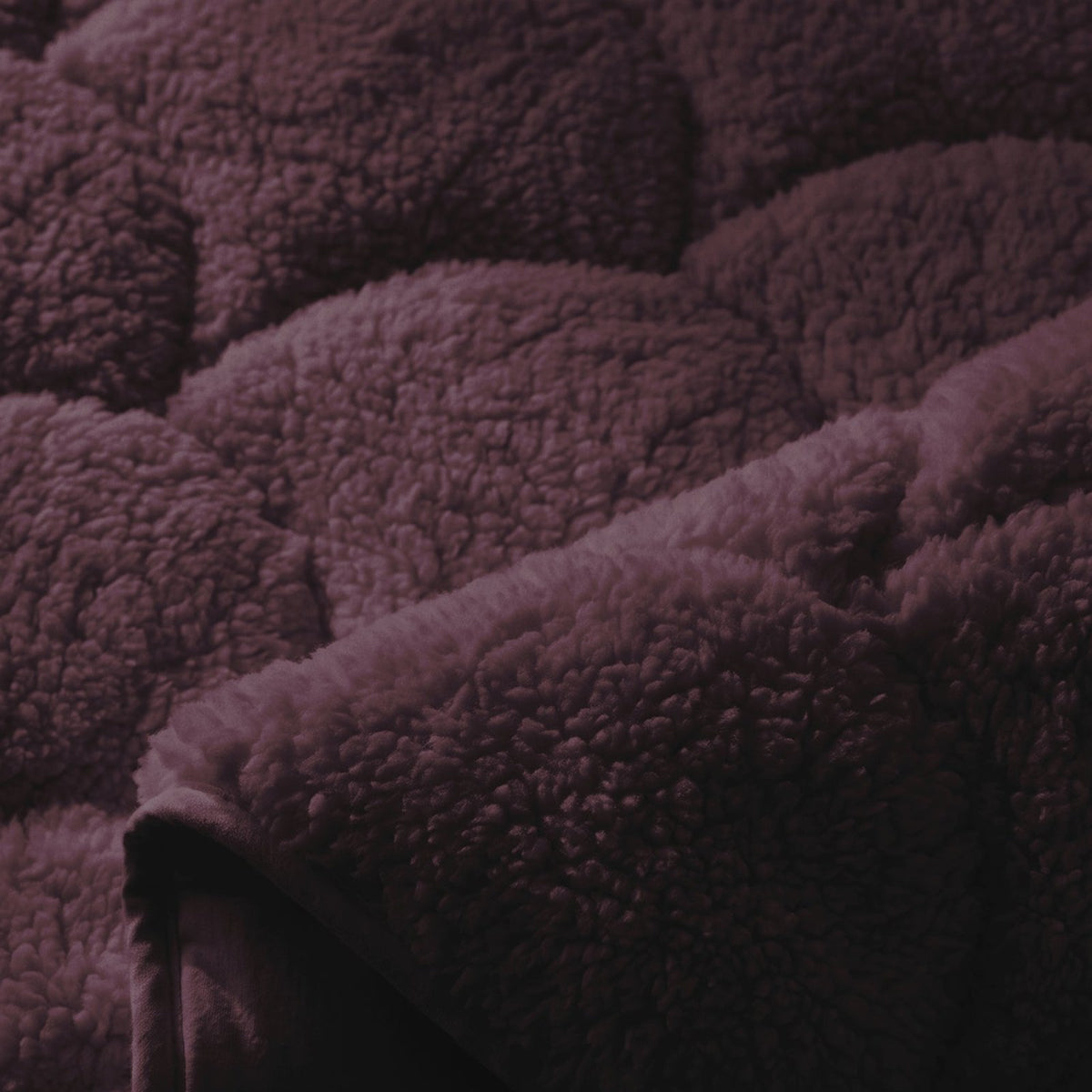 Close-up van Teddy