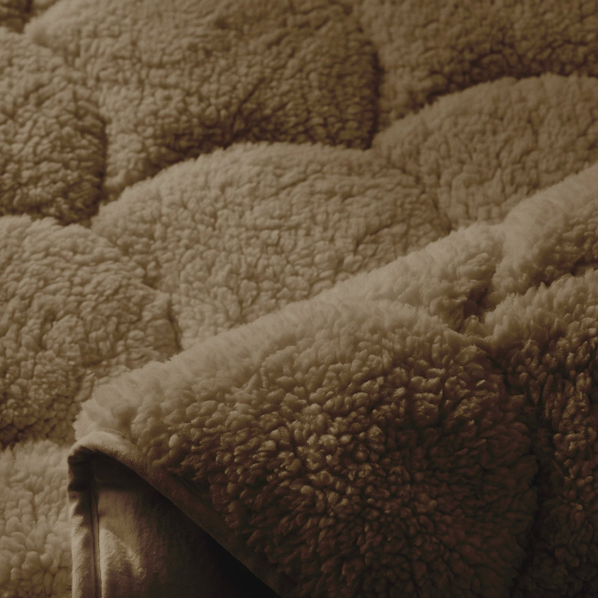 Close-up van Teddy