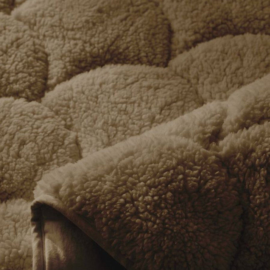 Close-up van Teddy